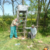 Oprava a kosenie okolo posedu