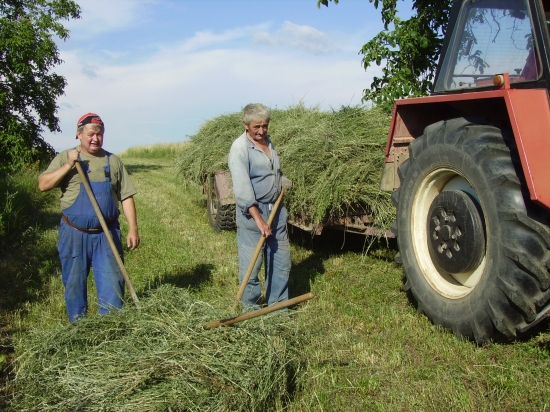 Druhy zber lucerky na zimu