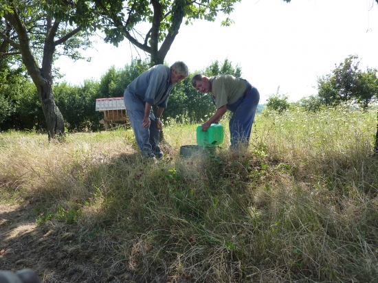 Napajanie zveri pocas horucav