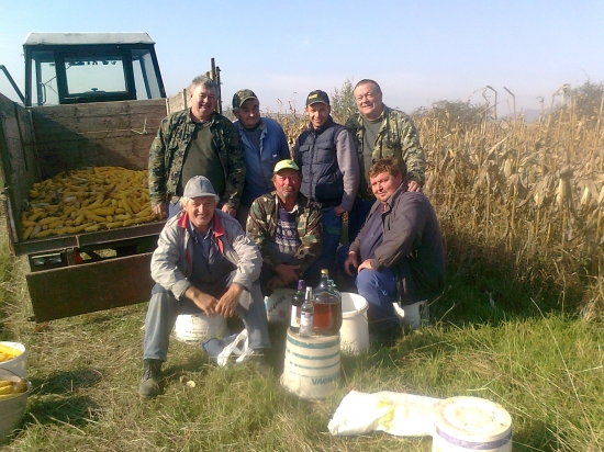 Lamanie kukurice na prikrmovanie zveri