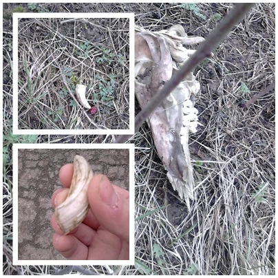 škoda že iba tento jeden tam bol :) .. ale aj maličkosť poteší :)