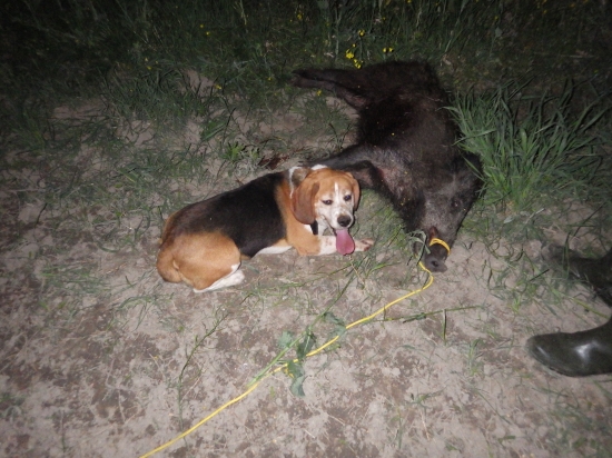 Úspešná dohľadávka :)