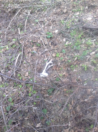 skonal  na mieste bohom zabudnutom