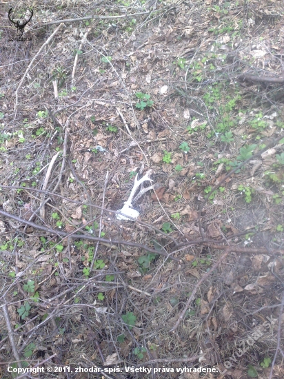 skonal  na mieste bohom zabudnutom