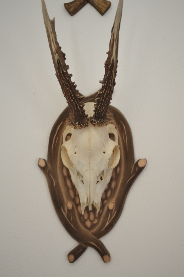 podložka -moje hobby