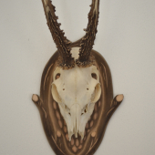 podložka -moje hobby