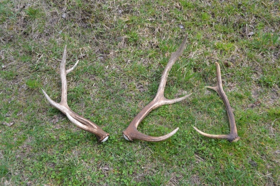 prva para v živote + bonus :)