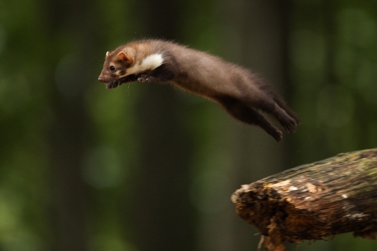 Připravit, pozor ke startu......... start!