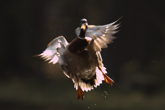 kouzlo protisvětla.........