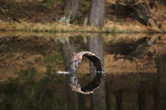 originál k fotce.....