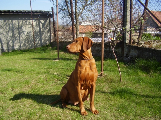 Bea Garamparty už 21-ho budú na svete