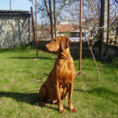 Bea Garamparty už 21-ho budú na svete