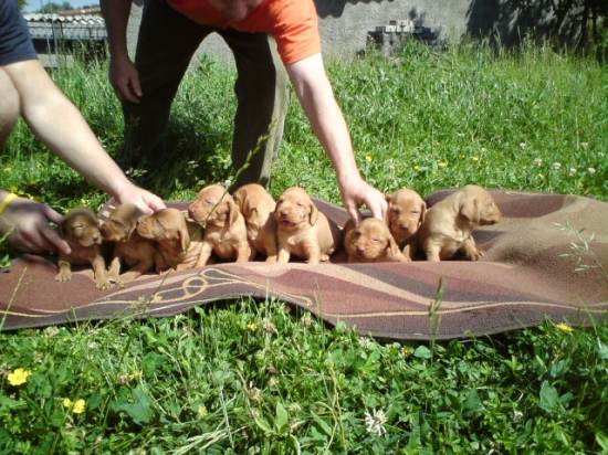 štenata MKS Garamparty