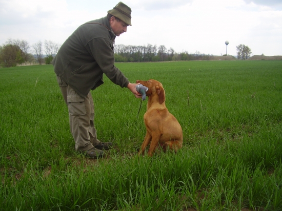 Grog Garamparty 11.mes.