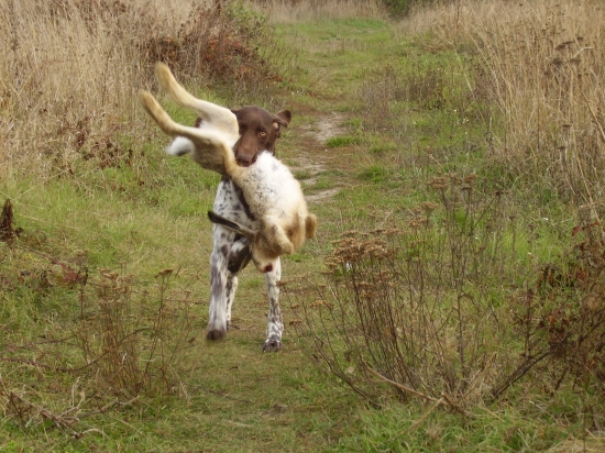 5 mes.suka NKS Micskei Barni