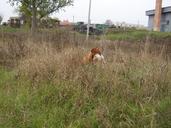 Kréta Garamparty 10.mes.suka