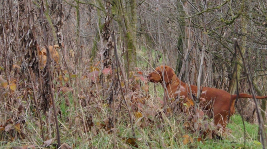 Kréta a Ficko Vystavuju