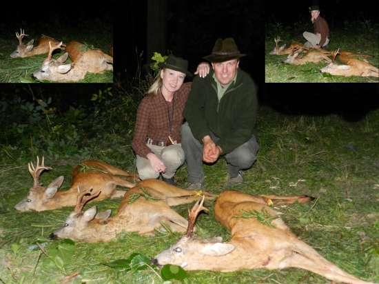 Vrchol srnčí říje 2011