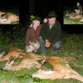 Vrchol srnčí říje 2011