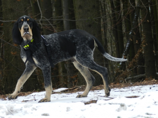 Seznamování s revírem...