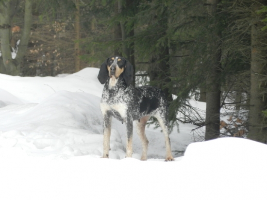 Arleta Brunohrad-matka