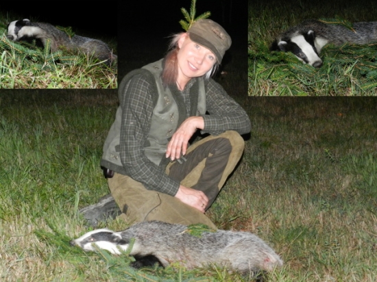 Můj první Rabštejnský jezevec