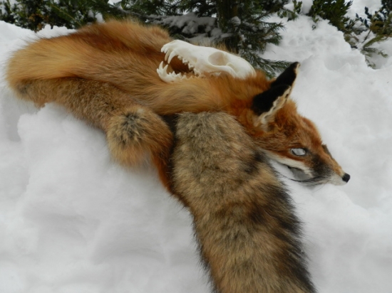 Moje práce...činění+bělení