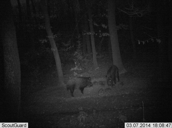 Rodinka sa rozrástla