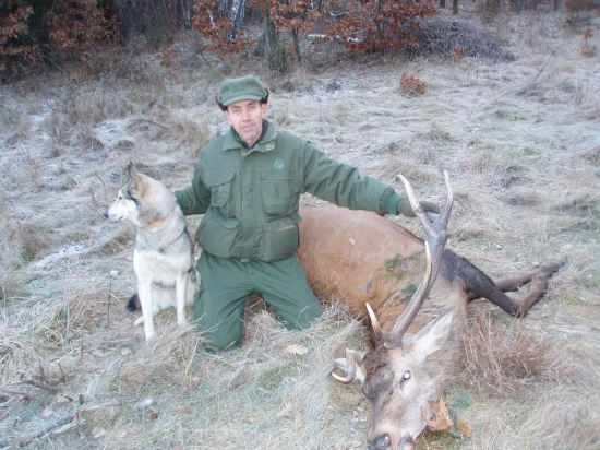 Uspešna dohľadavka s lajkou