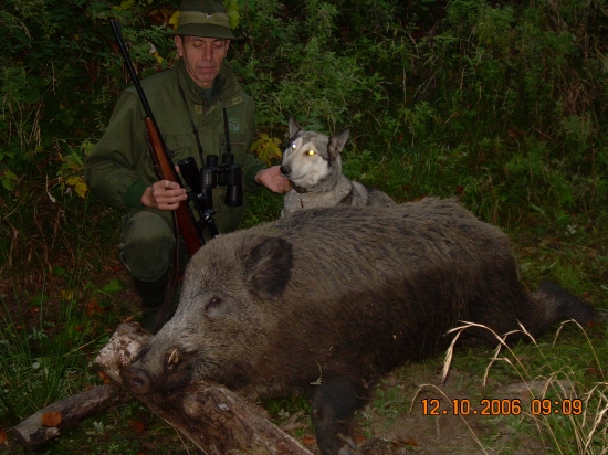 uspešna postriežka s lajkou