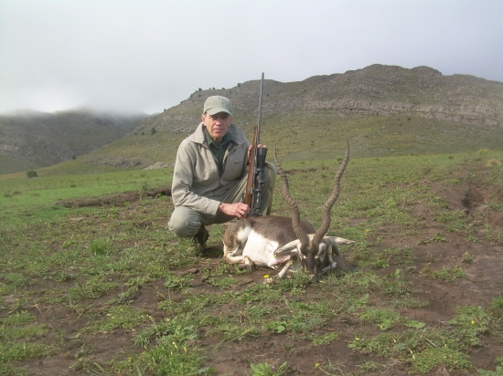 Antilopa šroborohova