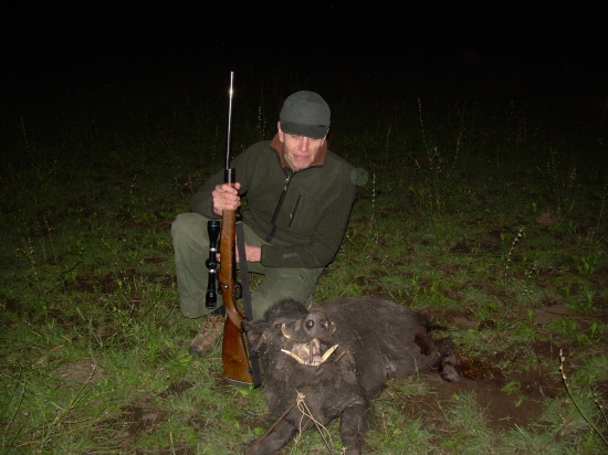 Nočna poľovačka.