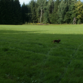 Bord a kazatelna