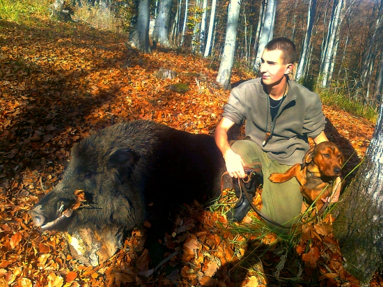 Náš ďalší dohľadaný diviak