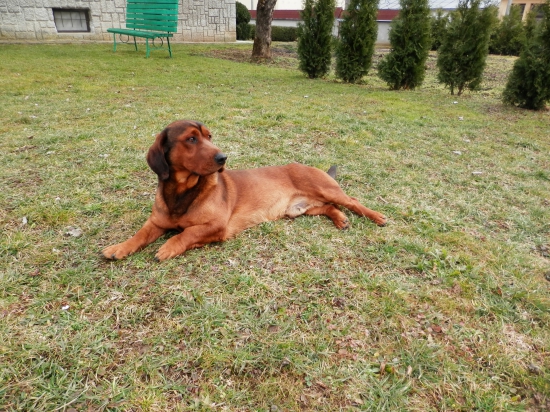 Zaslúžený oddych po náročnej sezóne