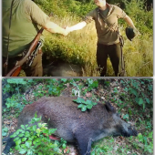 Môj prvý úlovok