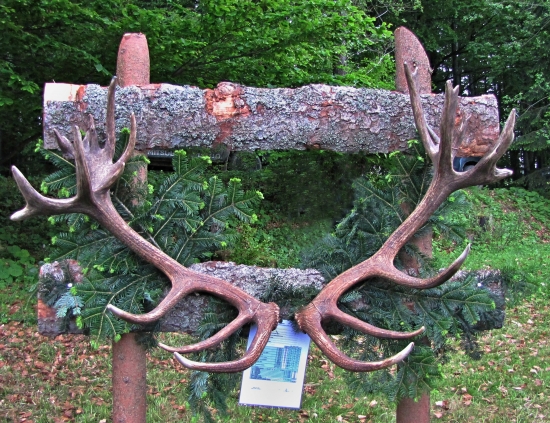 Bodová hodnota 252,99-12,8 kg