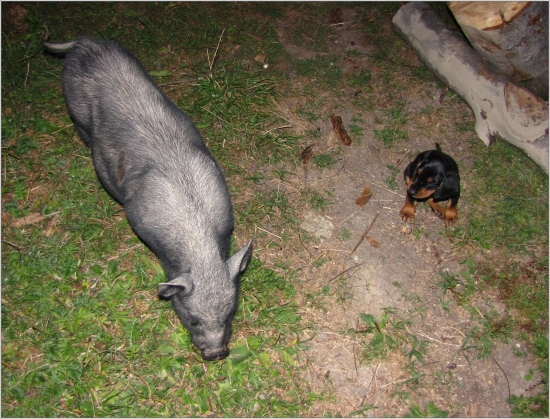 Podrastiem ťa preženiem :-)