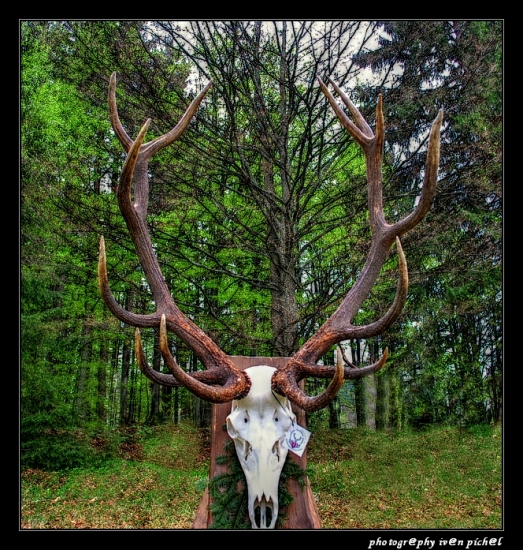 ChP Zhodov a Trofejí - Kyslinky Zálomská 2014