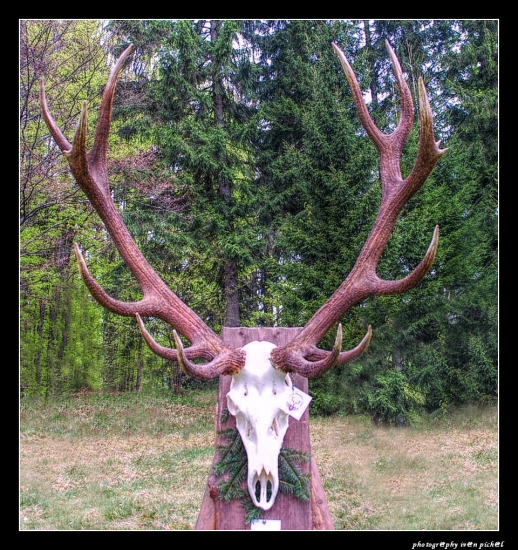 ChP Zhodov a Trofejí - Kyslinky Zálomská 2014