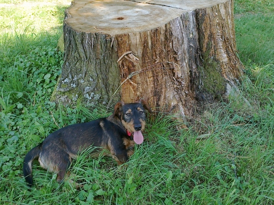 ležím, prdím , stále smrdím ...