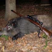 Lončák
