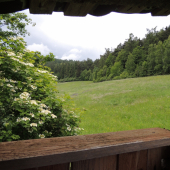 Čakanie