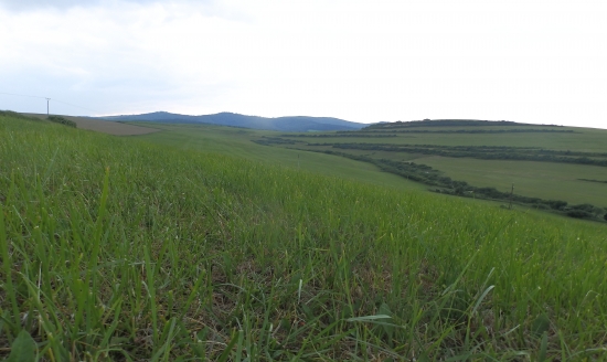 Čakanie