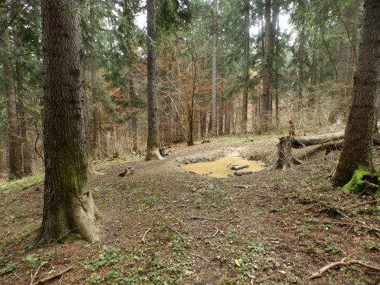 Kalužisko