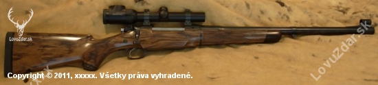 cz 550