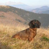 Ural