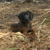 Ural