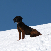 Ural