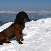 Ural